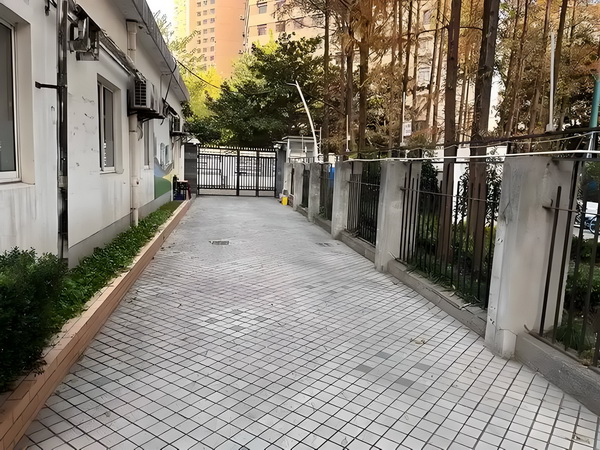 本科生去深圳工作怎么落户_58岁徐帆刚回应完离婚的传闻，这一幕就出现了 调查具体中仍在原因事发