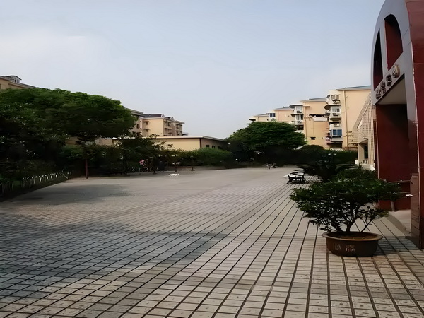非应届毕业生入深圳户口_《开端》完结，又哭又笑却也有太多遗憾 拍女他们、开端完结